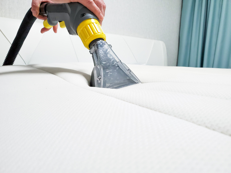 cleaning company cleans the mattress. General cleaning of the mattress